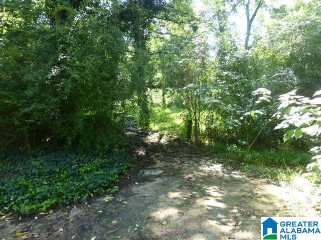 1568 Warrior Jasper Road Warrior, AL 35180 - Photo 6 of 11