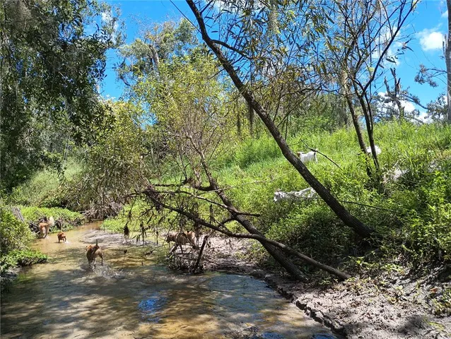 $599,000 | 4678 253rd Street East, Myakka City, FL 34251