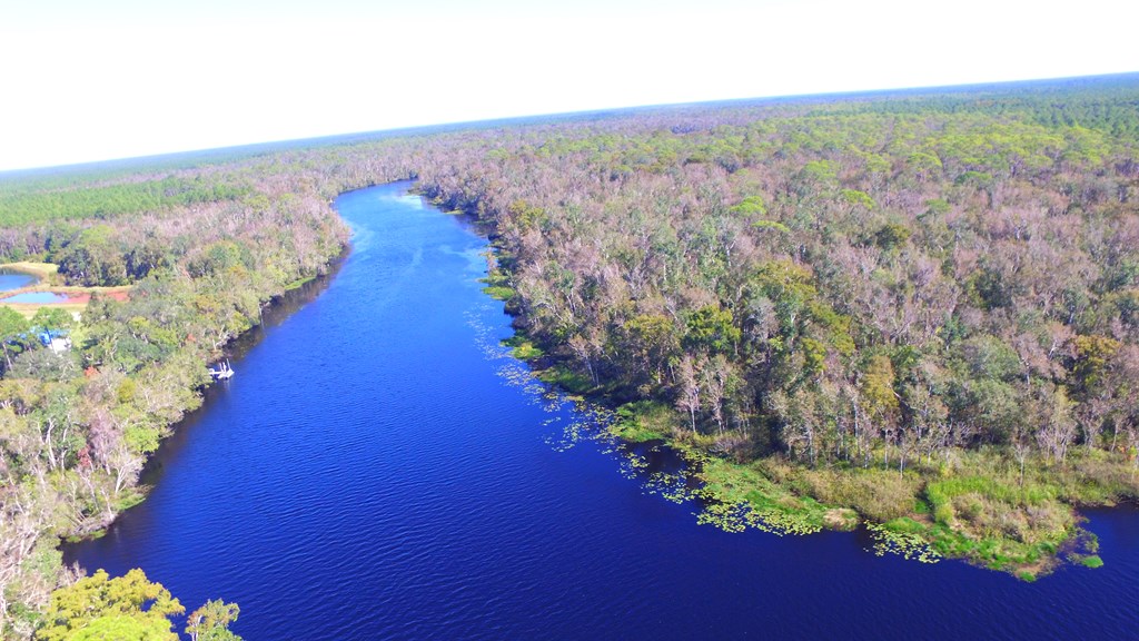 925 Hickory Hammock Road Carrabelle, FL 32322 - Photo 19 of 25 Gallery Image 19