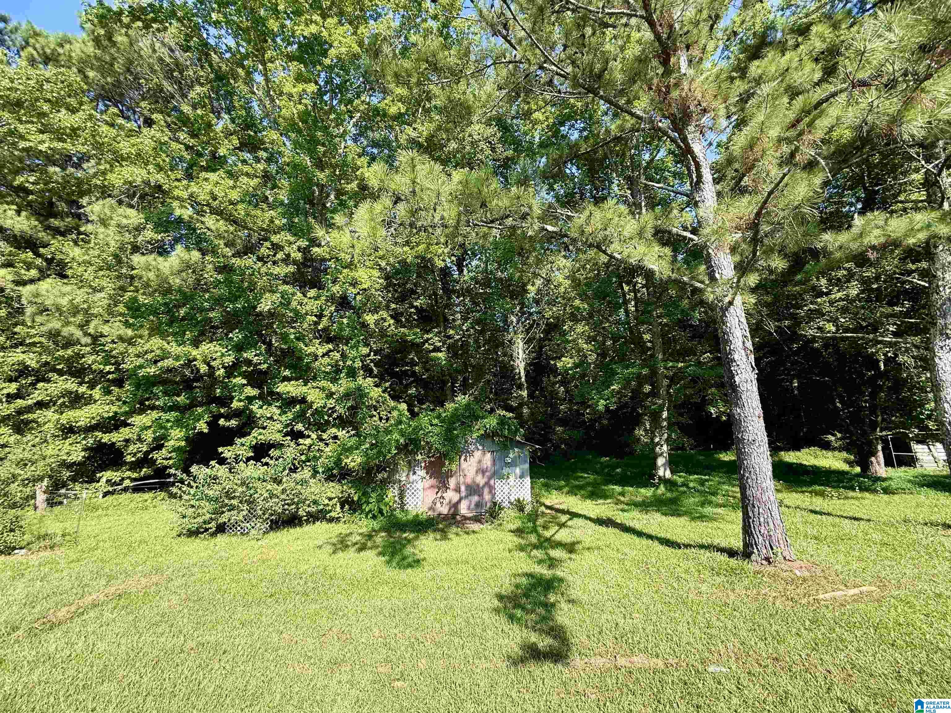 544 Landfill Road Ashland, AL 36251 - Photo 39 of 43