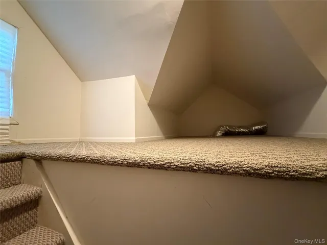 a view of a sink under a plant