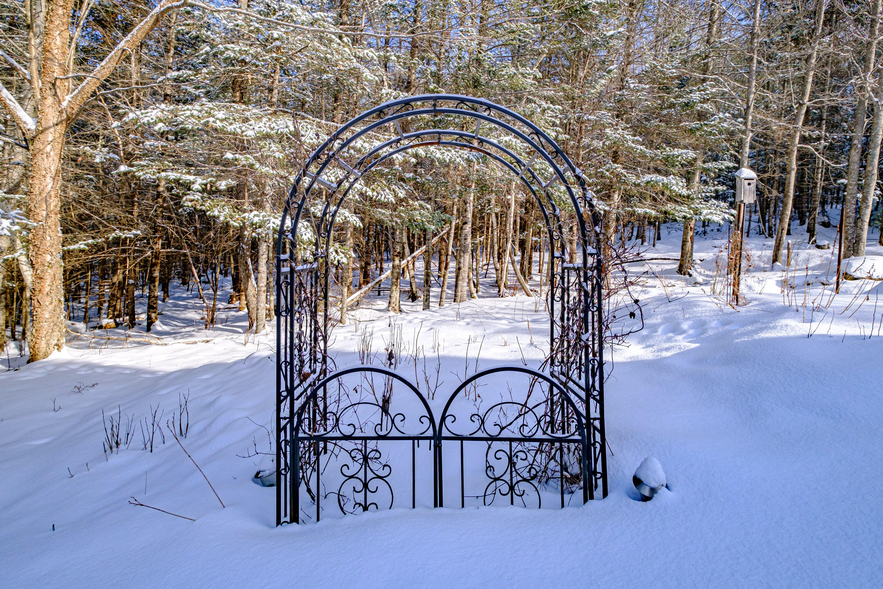 750 Harrison Road Norway, ME 04268 - Photo 85 of 100 20250203gp-60092
