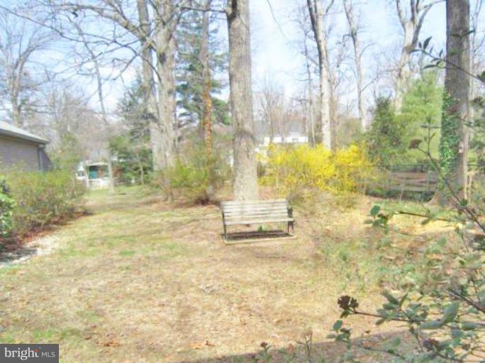 4012 Laurel Road Alexandria, VA 22309 - Photo 22 of 29 Wooded View / Acreage 2