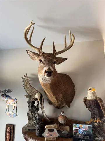 $1,250,000 | 0 Highway A Monroe City Mo 63456, Monroe City, MO 63456