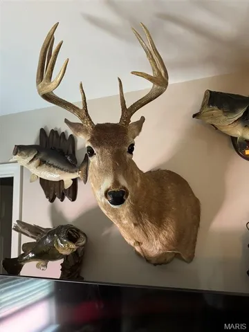 $1,250,000 | 0 Highway A Monroe City Mo 63456, Monroe City, MO 63456