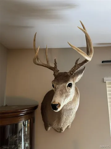 $1,250,000 | 0 Highway A Monroe City Mo 63456, Monroe City, MO 63456