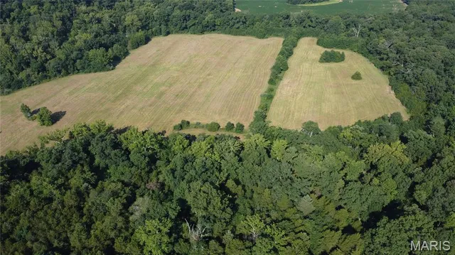 $1,250,000 | 0 Highway A Monroe City Mo 63456, Monroe City, MO 63456