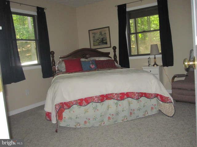 688 Fern Valley Way Springfield, WV 26763 - Photo 12 of 22 a bedroom with a bed and window