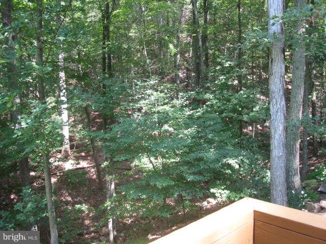 688 Fern Valley Way Springfield, WV 26763 - Photo 17 of 22 a view of a forest from a tree