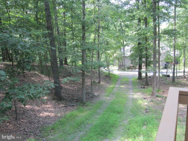 688 Fern Valley Way Springfield, WV 26763 - Photo 20 of 22 a view of a park with large trees