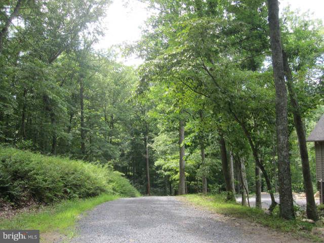 688 Fern Valley Way Springfield, WV 26763 - Photo 22 of 22 a view of a forest with trees in the background