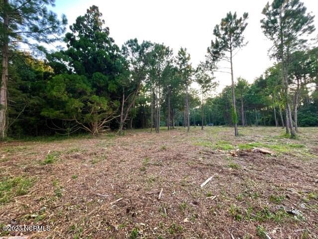 235 Sleepy Point Road Gloucester, NC 28528 - Photo 6 of 16 View from water to road