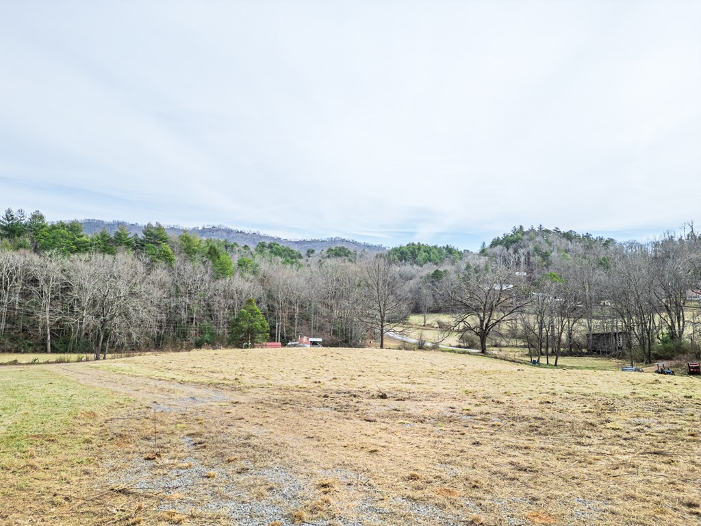 1098 Rowland Hill Road Marble, NC 28905 - Photo 13 of 26