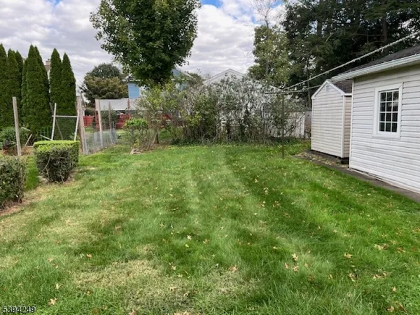 a view of a backyard with plants and a garden