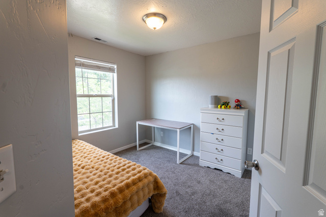 1443 West 250 North Springville, UT 84663 - Photo 20 of 23 Bedroom featuring light gray walls, gray carpet flooring, a window with horizontal blinds, and an overhead dome light fixture