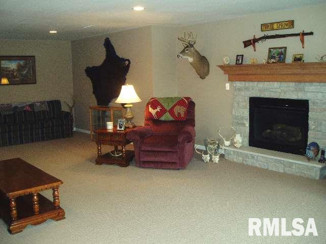 1213 Springbrook Lane DeWitt, IA 52742 - Photo 9 of 9 Gallery Image 9