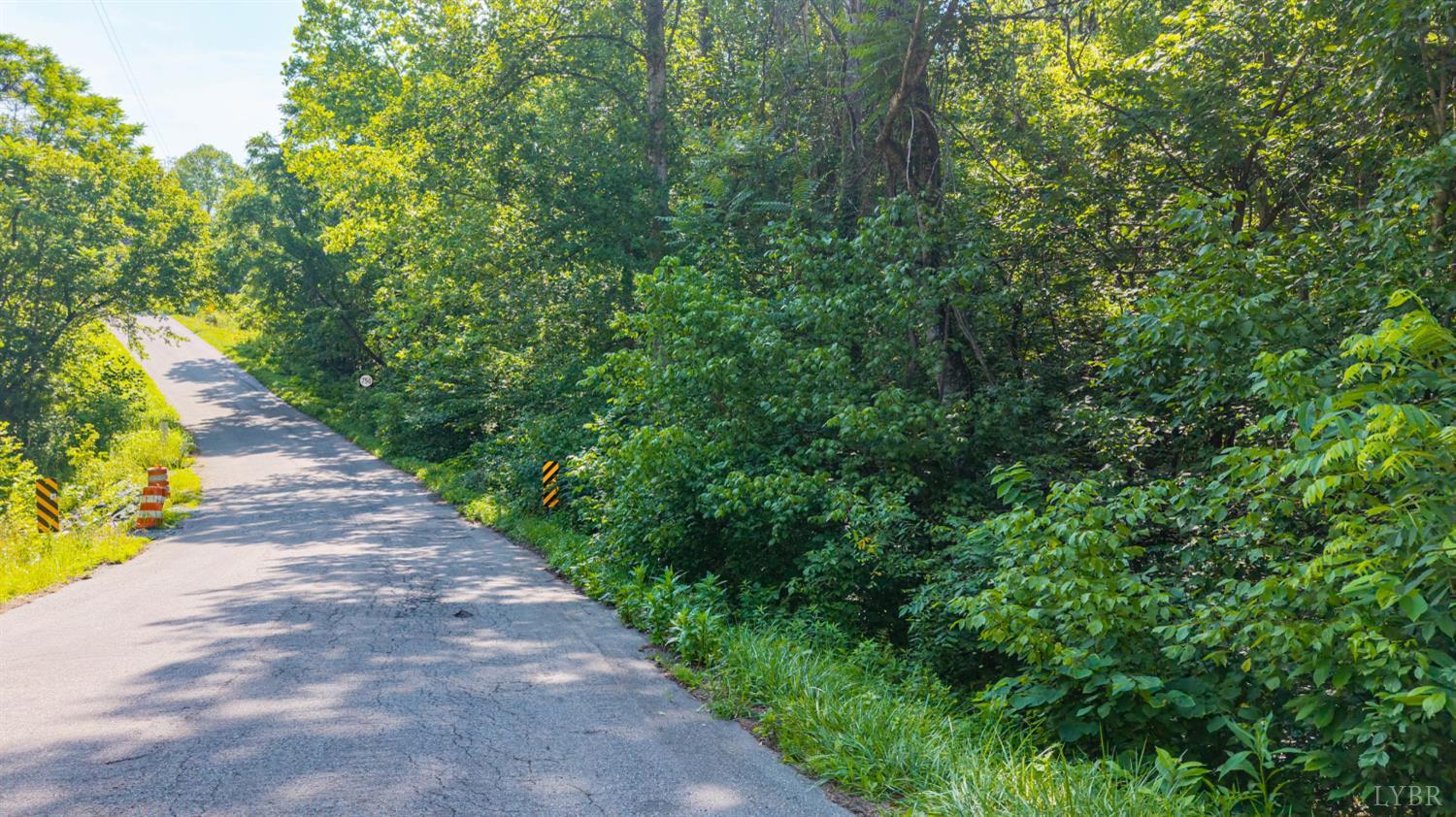 0 Mt Athos Road Lynchburg, VA 24504 - Photo 28 of 42