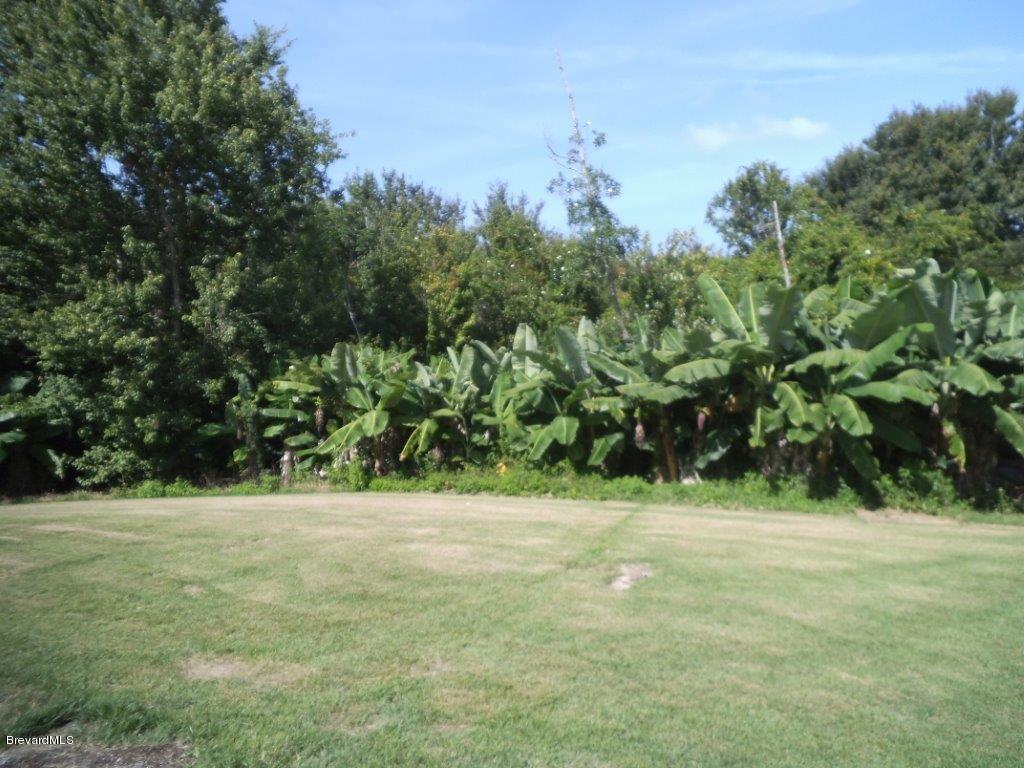 1630 South Carpenter Road Titusville, FL 32796 - Photo 22 of 35 DSCF4522