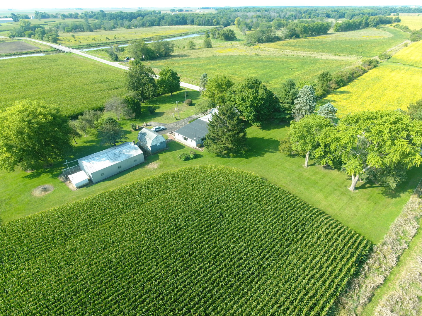12454 Cracker Road Farmer City, IL 61842 - Photo 6 of 23 a view of an ocean from a big yard
