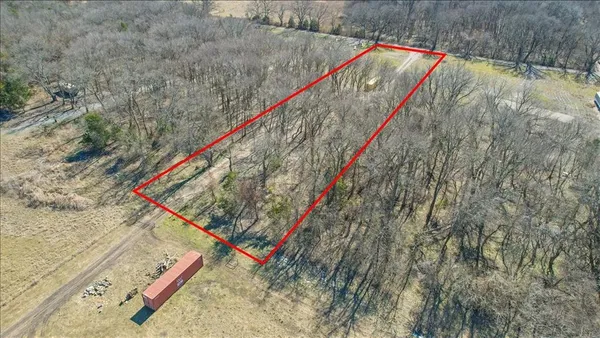 a view of a yard with a tree