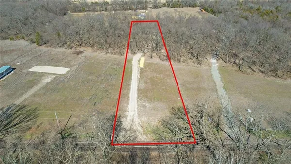 a view of a dry yard with trees