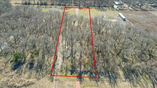 a view of large trees with a yard