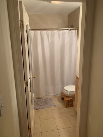 328 Sumner Street, Unit 2 Boston, MA 02128 - Photo 8 of 15 a bathroom with a toilet and a shower