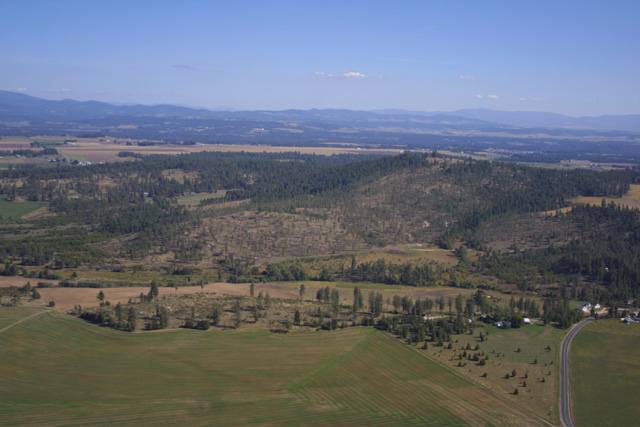 3800 West Brant Road Colbert, WA 99005 - Photo 1 of 9