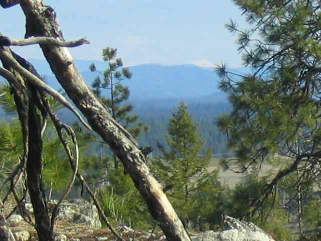 3800 West Brant Road Colbert, WA 99005 - Photo 2 of 9