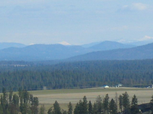 3800 West Brant Road Colbert, WA 99005 - Photo 3 of 9