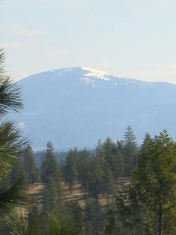 3800 West Brant Road Colbert, WA 99005 - Photo 4 of 9