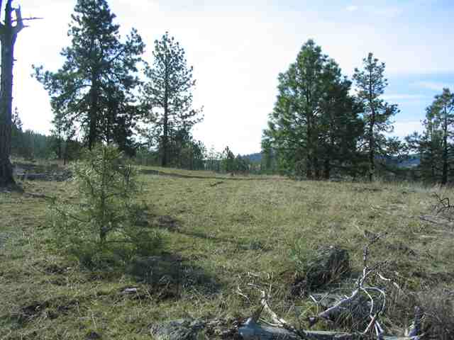 3800 West Brant Road Colbert, WA 99005 - Photo 5 of 9