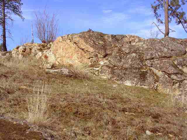 3800 West Brant Road Colbert, WA 99005 - Photo 6 of 9
