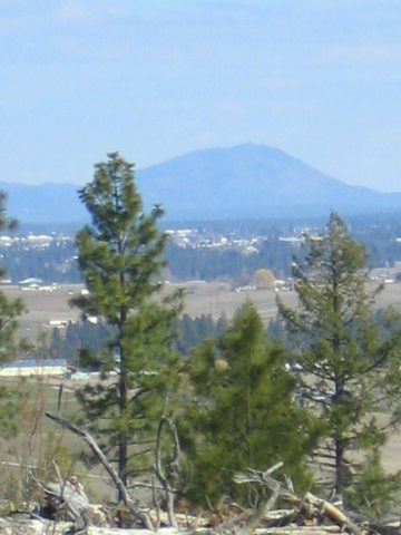 3800 West Brant Road Colbert, WA 99005 - Photo 7 of 9