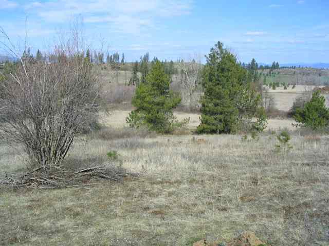 3800 West Brant Road Colbert, WA 99005 - Photo 8 of 9