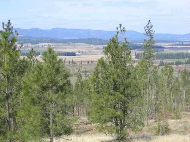 3800 West Brant Road Colbert, WA 99005 - Photo 9 of 9