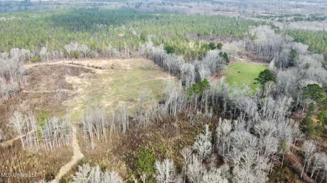 $1,750,000 | 0 Wade Road, West, MS 39192