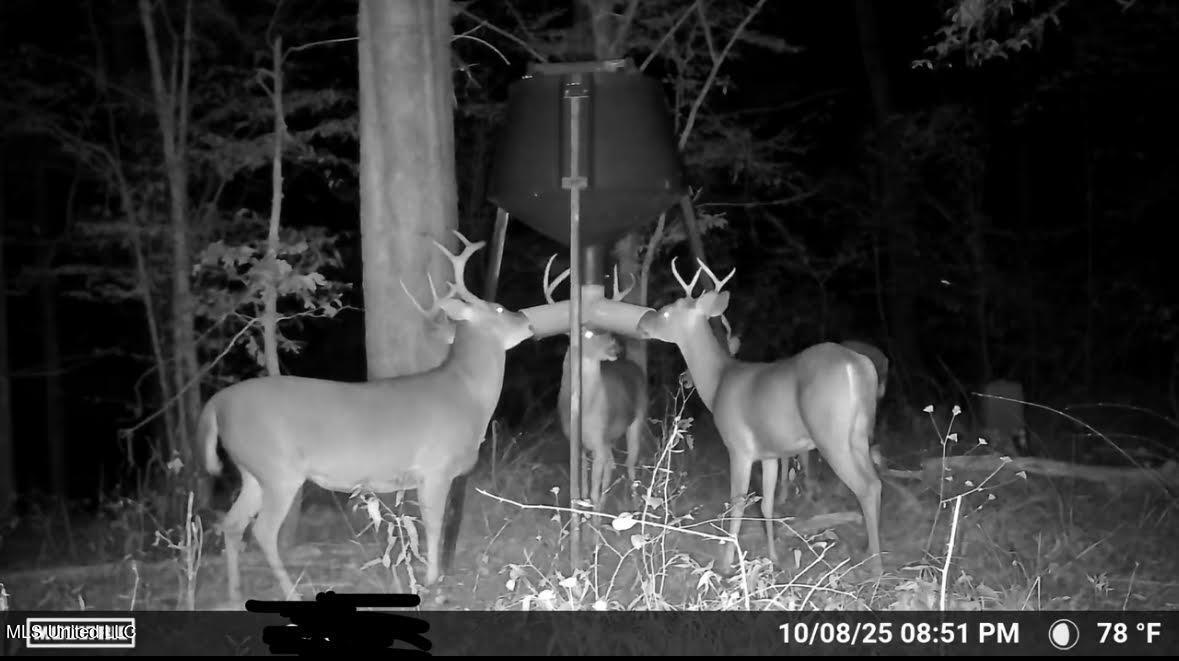 0 Wade Road West, MS 39192 - Photo 101 of 114 101