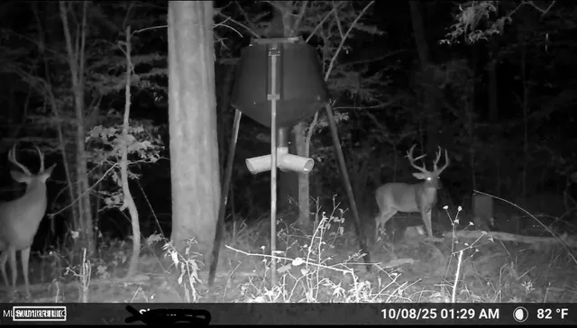 $1,750,000 | 0 Wade Road, West, MS 39192