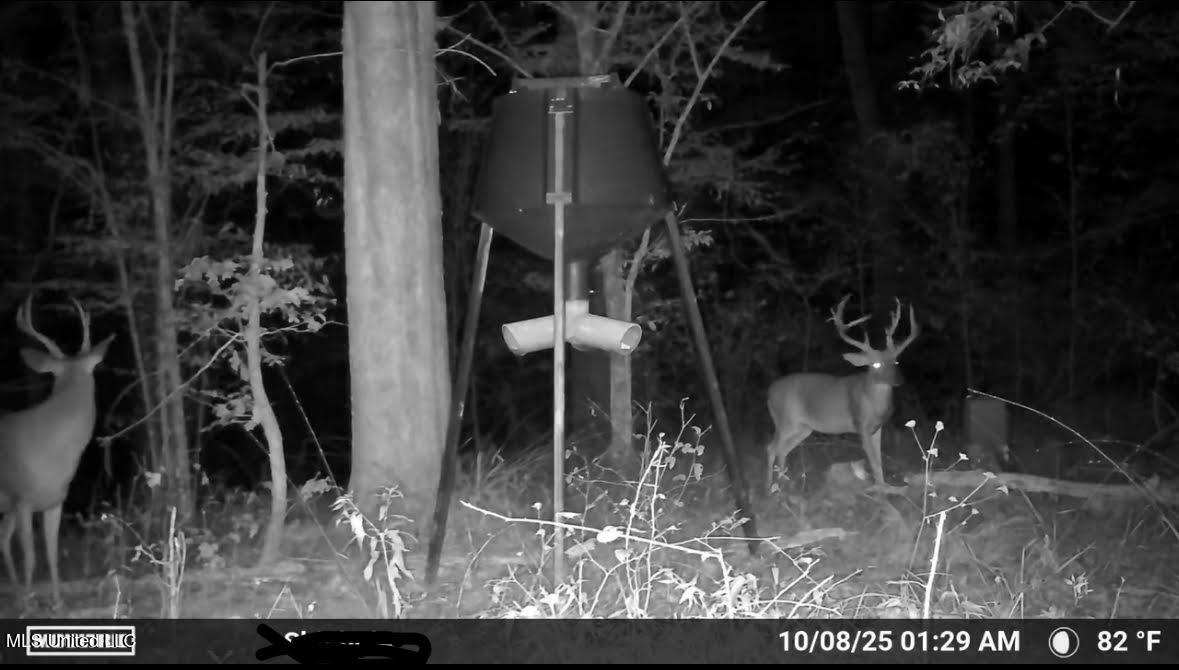 0 Wade Road West, MS 39192 - Photo 102 of 114 102