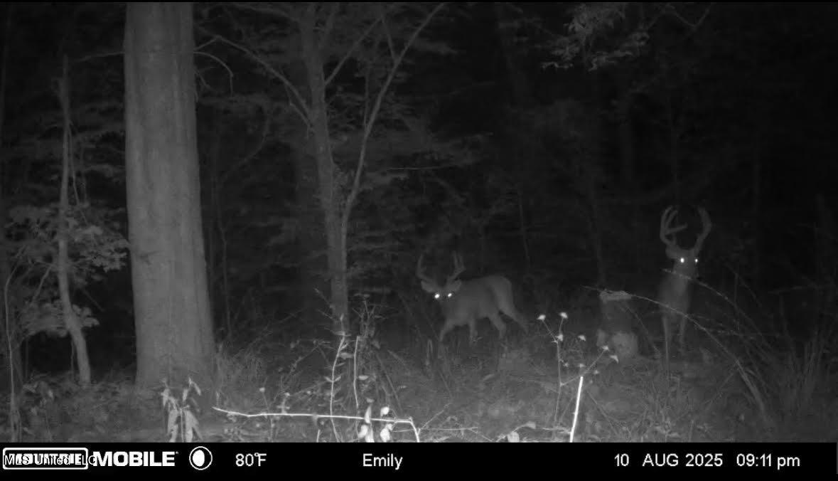 0 Wade Road West, MS 39192 - Photo 103 of 114 103