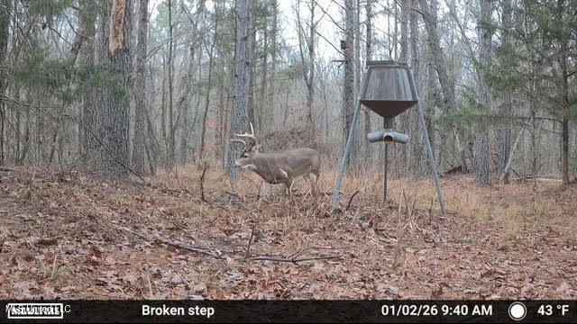 $1,750,000 | 0 Wade Road, West, MS 39192