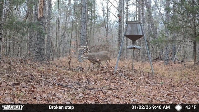 0 Wade Road West, MS 39192 - Photo 104 of 114 104