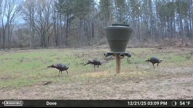 $1,750,000 | 0 Wade Road, West, MS 39192