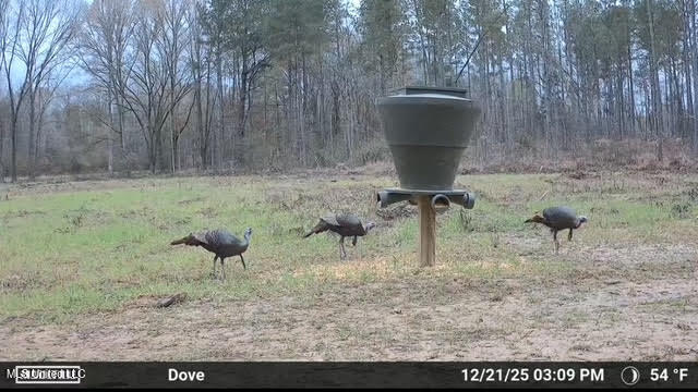 0 Wade Road West, MS 39192 - Photo 105 of 114 105