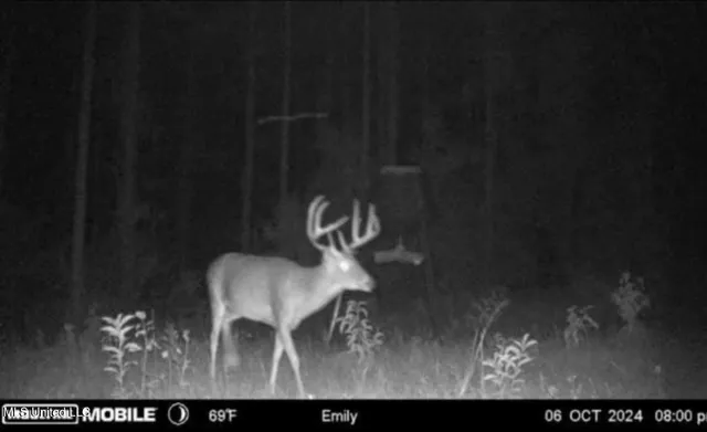 $1,750,000 | 0 Wade Road, West, MS 39192