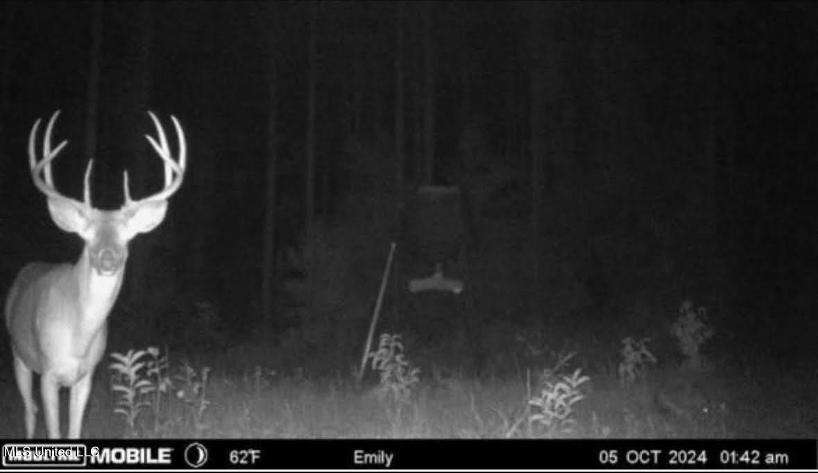 0 Wade Road West, MS 39192 - Photo 107 of 114 107