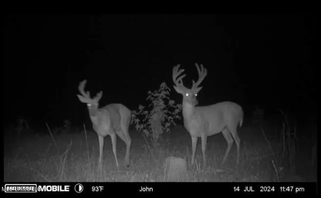 $1,750,000 | 0 Wade Road, West, MS 39192