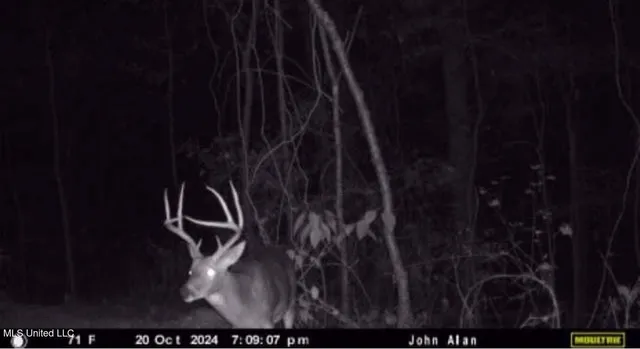 $1,750,000 | 0 Wade Road, West, MS 39192