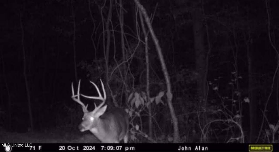 0 Wade Road West, MS 39192 - Photo 109 of 114 109